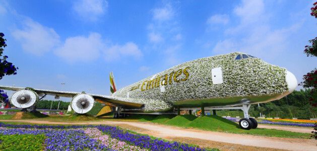 Arjan Area Guide 2023